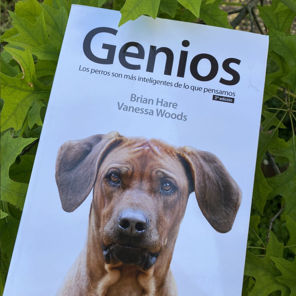 Libros bugme 